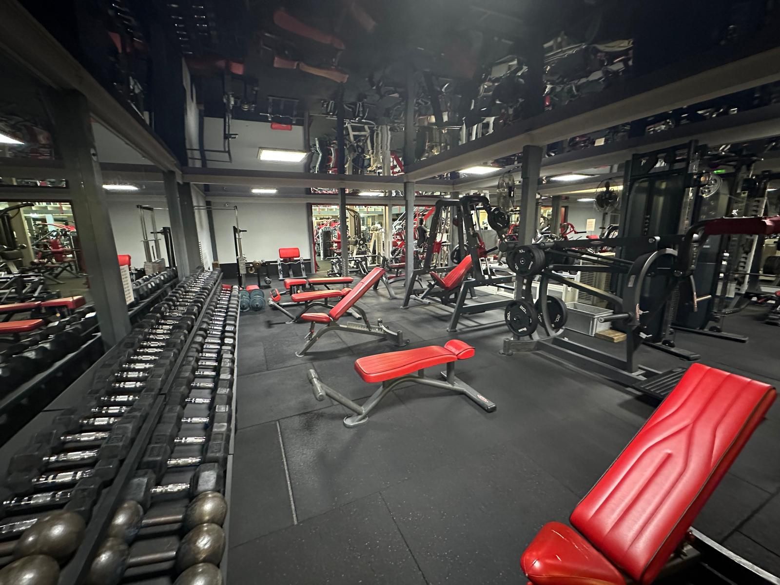 Poids libres & haltères chez American Fitness