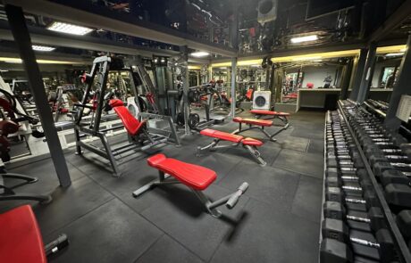 53-american-fitness