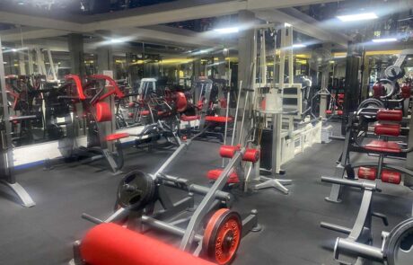 salle-musculation-poids-libre-american-fitness-geneve-00010